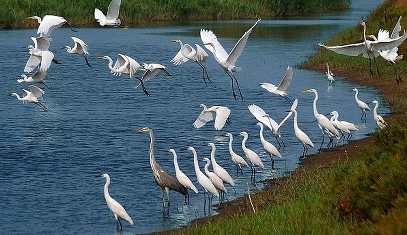 Nam Dinh & Xuan Thuy National Park Eco Bike tour in 2 Days